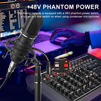 Console de mixage multifonctionnelle TNH MT-12 à 12 canaux avec 99 DSP, USB, Bluetooth et alimentation fantôme 48V pour les réunions de famille et l'enregistrement de projets