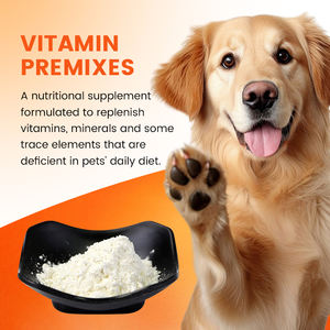 ผงวิตามินสำเร็จรูป GMP สำหรับสัตว์เลี้ยง จำหน่ายจำนวนมาก สำหรับผู้ผลิตอาหารสุนัขและแมว ผสมวิตามินรวมจากธรรมชาติ พร้อมทอรีนและบี-คอมเพล็กซ์ - Product Image 6