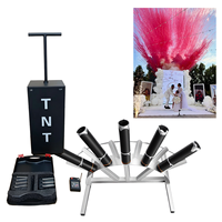 Canon à confettis et feux d'artifice colorés pour mariage, déclencheur TNT, ensemble en rangée unique en forme d'éventail, pour révélation du sexe, scène de mariage et fête