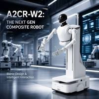 Nuevo Robot Industrial Hirobot A2CR-W2, Motor Colaborativo de Material Compuesto Metálico, PLC, Software Personalizable, Entrada AC220V, 570W, 120kg