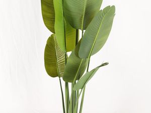 Nouvel Arbre Bananier Artificiel en Plastique de Grande Taille pour l'<span class=keywords><strong>Intérieur</strong></span>, Plante Folha De Bananeira, <span class=keywords><strong>Plantes</strong></span> Artificielles, <span class=keywords><strong>D</strong></span>écoration, <span class=keywords><strong>Plantes</strong></span> <span class=keywords><strong>Vertes</strong></span>, Arbres Bonsaï - Product Image 5