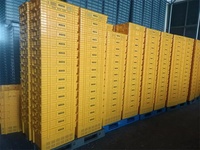 Caisse en plastique à mailles empilable et emboîtable, recyclable, à longue durée de vie, pour utilisation en entrepôt et stockage de légumes/fruits