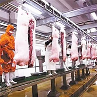 Équipement d'abattage de porcs d'élevage : Moteur de pompe à roulement en acier inoxydable SUS 304, haute efficacité, production de 60bp/h