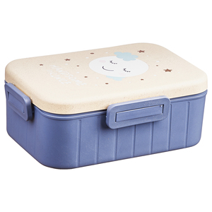 Hot Sale Customize kids Bento Box Lunch Biodegradable Lunch Boxes