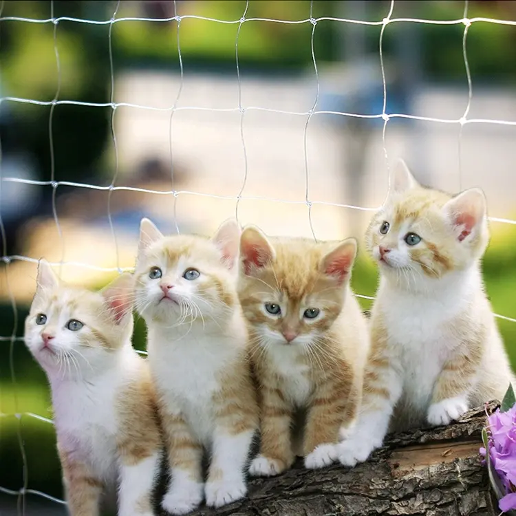 Vendita calda forte rete di sicurezza maglia trasparente-Heavy Duty Protect Cat Fall Cat Net balcone Windows Cat Safety Net