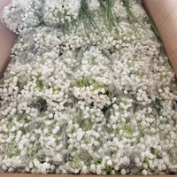 Gypsophile Artificiel en Gros, Souple et Réaliste, 61 cm, 108 Têtes, Longue Durée, pour Décoration Mariage, Maison et Fêtes