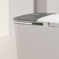 Toilette intelligente de luxe DOLOGI avec bidet japonais siège de télécommande chauffage femelle lavage autonettoyant fonction intelligente