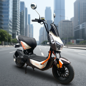 Moto électrique avec moteur de 1000W, batterie au plomb-acide intelligente 48V, type vélo électrique/cyclomoteur - Product Image 5
