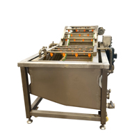 Industriële commerciële fruit- en groentewasmachine met motor en aandrijving, multifunctionele reinigingsapparatuur