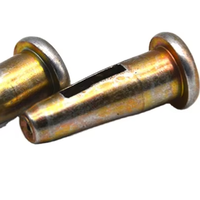 16*50 Hollow and 16*52 Solid Stub Steel Fasteners with Zinc Plating Bagged Package