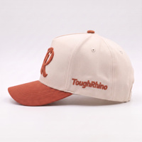Casquette de baseball personnalisée de haute qualité, couleur crème terre cuite, visière incurvée avec broderie 3D TR, vente en gros OEM ODM