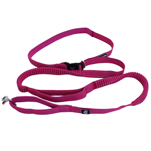 TD Cascades prugna Boysenberry guinzaglio cane estensibile per animali domestici attivi - Product Image 2