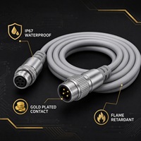 Câble de connexion aviation WS20 à 8 broches, assemblage de connecteurs circulaires étanches IP67, faisceau de câbles 10A 500V AC, longueur personnalisée