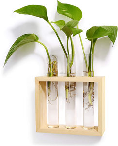 Station de propagation murale en verre, vase moderne pour bourgeons de fleurs sur support en bois, terrarium de table avec 3 tubes à essai - Product Image 2