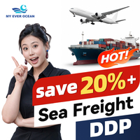 Expédition DDP porte-à-porte, transitaire Amazon FBA, transport maritime de Chine vers les États-Unis, le Canada et l'Europe