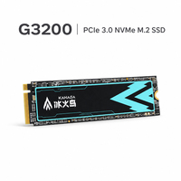 قرص تخزين داخلي من سلسلة كاناجا G3200 نوع M.2 NVMe SSD بسرعة قراءة متسلسلة 3000 ميجابايت/ثانية، PCIe 3.0 للحواسيب المحمولة عالية الأداء