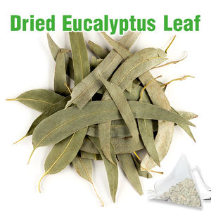 Thé aux <span class=keywords><strong>feuilles</strong></span> <span class=keywords><strong>d</strong></span>'<span class=keywords><strong>eucalyptus</strong></span> en vrac <span class=keywords><strong>de</strong></span> qualité supérieure Thé apaisant à base <span class=keywords><strong>de</strong></span> plantes Thé <span class=keywords><strong>d</strong></span>élicieux chaud Profitez du chaud ou du froid - Product Image 2