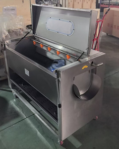 Machine commerciale de lavage et de pelage pour légumes ronds (carottes, pommes de terre, manioc, gingembre) avec brosse de nettoyage - Product Image 6
