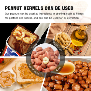 Bán buôn vỏ đậu phộng rang muối đậu phộng lạc lạc hạt nhân để bán - Product Image 4