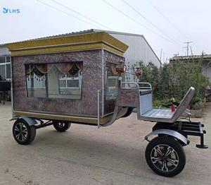 Low Price High Quality Funeral Cars/European Style <strong>Horse</strong> Drawn Hearse/Manufacturer Funeral Hearse for Sale - Product Image 3