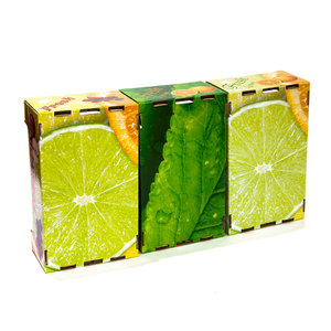 Biểu Tượng Tùy Chỉnh In Các Tông Sóng Trái Cây Giấy Bao Bì Khay Bán Lẻ Hộp Cho Cam Chanh Nho - Product Image 2