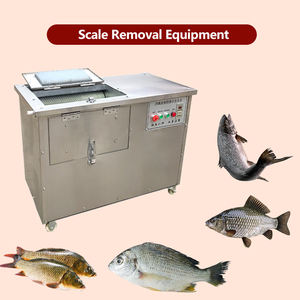 Machine automatique de détartrage de poisson à grande échelle de haute qualité, machine de détartrage de poisson en acier inoxydable - Product Image 3