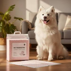 Welpen-Toilettentraining Biologisch Abbaubare Baumwolle Einweg Saugfähige Schnell Trocknende Hunde-Pipi-Matten mit Bambuskohle für Haustiere - Product Image 1