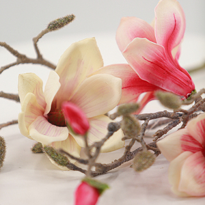 Ingrosso piccolo fiore di Magnolia vero tocco in gomma morbida fatto a mano decorazione realistica per il Festival di nozze di natale Hotel casa - Product Image 2
