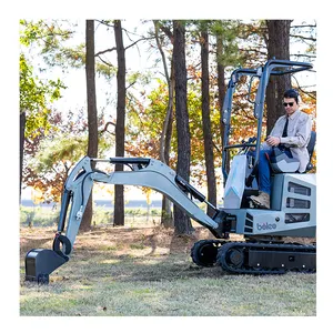 Boleo 1 Ton New Cheap Mini Excavator Tractor Prices Micro Excavator For Sale