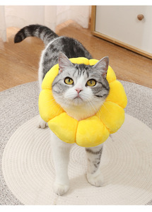 <span class=keywords><strong>Collare</strong></span> Impermeabile Eliza Circle <span class=keywords><strong>per</strong></span> <span class=keywords><strong>Gatti</strong></span>, Tinta Unita, Resistente a Graffi, Leccate e Morsi, <span class=keywords><strong>per</strong></span> Cani e <span class=keywords><strong>Gatti</strong></span> Sterilizzati, Multicolore - Product Image 5