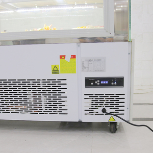 Frigorifero Moderno a Colonna con Vetrina per Negozi di Alimentari, Pasticcerie e Food Court - Product Image 5