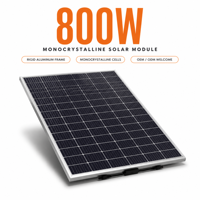 Module solaire monocristallin 800W avec un cadre en aluminium rigide et des cellules disposées en rangées sur toute la face avant
