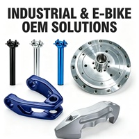 Services de forgeage OEM ODM avec usinage CNC, anodisation et polissage pour pièces automobiles et de vélo, usine tout-en-un certifiée IATF 16949