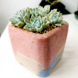 HY2 En gros Pots créatifs pour plantes succulentes en pierre <span class=keywords><strong>de</strong></span> Maifan, en <span class=keywords><strong>poterie</strong></span> grossière absorbante, pour le stockage - Product Image 4