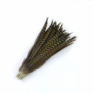 Plumas de Cola de Faisán Reeves 35-40cm Naturales para Manualidades, Decoración del Hogar y Disfraces de Carnaval - Product Image 3