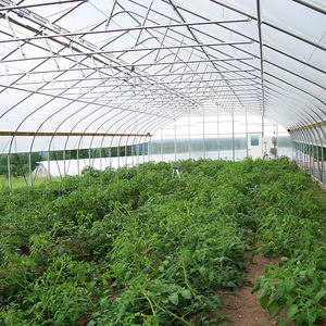 Serres <span class=keywords><strong>tunnel</strong></span> solaires à simple portée de 8x30m, d'<span class=keywords><strong>occasion</strong></span>, pour tomates, avec systèmes d'irrigation et film plastique pour jardin - Product Image 6