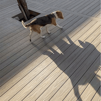 Planches de terrasse en composite WPC - Imperméables, écologiques, ignifuges, garantie 1 an, design moderne pour hôtel, villa, parc, utilisation en bois