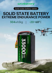 Высокоплотный литий-ионный аккумулятор емкостью 304 Вт/кг, полутвердый 33000 мАч, 6S 12S 18S - Product Image 4