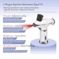 Meiboyi prix amical injecteur facial Nano brouillard oxygène aérographe Machine lumière rouge usage domestique équipement de Salon de beauté