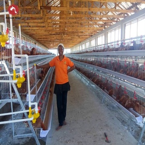 Venta Directa de Fábrica Silver Star, Jaula de Batería para Aves de Corral de <span class=keywords><strong>3</strong></span> Niveles y 120 Capas para Granjas Nigerianas - Product Image 1