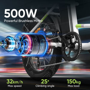 Vélo cargo électrique pliable à 2 roues de 20 pouces, 48 V, 500 W, pour la livraison de nourriture - Product Image 3