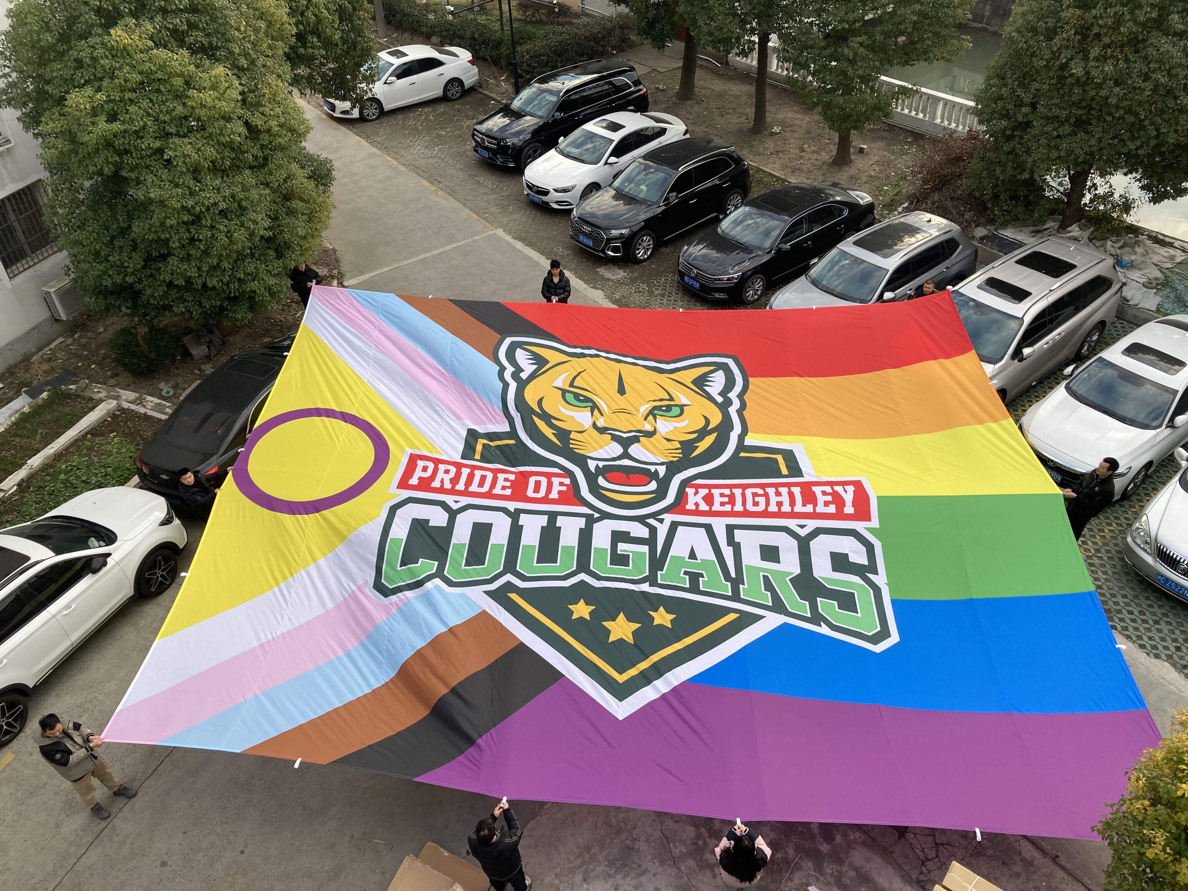 Bannière de 65g Polyeste