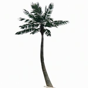 Arbre artificiel haut de gamme en fibre de verre renforcée pour aménagement paysager de <span class=keywords><strong>plage</strong></span>, imitation cocotier et palmier, pour extérieur - Product Image 5