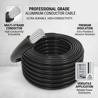 Cables Aéreos de Aluminio con Aislamiento de PVC XLPE 600V/0.6kV IP65, Temperatura de Trabajo de 75°C, Retardante de Llama General para Energía Eléctrica en Exteriores