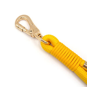 2025 producto de tendencia tiktok, superventas, correa de perro suave con gancho dorado, correas amarillas para mascotas, cuerda de moda, correa de perro de poliéster a granel - Product Image 5