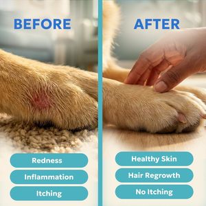 Traitement anti-inflammatoire Blue Butter pour chiens et chats - Soin des plaies, infections cutanées à levures, teigne, coupures, éruptions cutanées - <span class=keywords><strong>Crème</strong></span> anti-démangeaisons à usage doux - Product Image 5