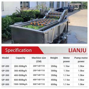 Laveuse à bulles haute capacité pour le traitement en vrac des légumes-feuilles (épinards, laitues) – Conception à haut rendement - Product Image 6
