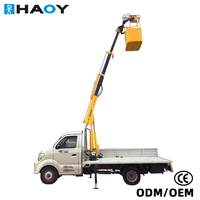 HAOY Palan de levage d'atelier 1,3 tonne avec télécommande, plateforme élévatrice, petite grue