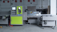 Scie à découper CNC entièrement automatique optimisée 4m 6m haute vitesse