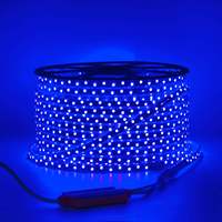 Bande lumineuse LED RVB AC110V 220V IP65 SMD 5050 10W 14MM 60leds/m 96leds/m 144leds/m Rouleau de 100m Bande LED intelligente avec télécommande